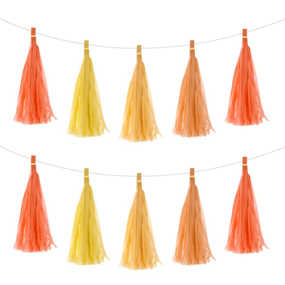 20Pcs Colourful Tassel Garland Banner with Rope