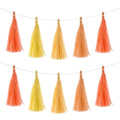 20Pcs Colourful Tassel Garland Banner with Rope