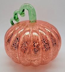 Halloween Autumn Fall Orange Pumpkin Light Up Battery Operated