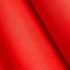 Red Carpet Runner for Party – Ceremony Entrance Decor with Red Party Carpet -…