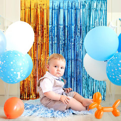 Blue Dog Birthday Decorations, 2 Pack Dog-Themed Party Supplies | 3.3X6.6 Ft Ora