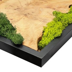 NAHARO Natural Preserved Moss Wall Art – 16»*12», Rectangle*3