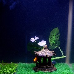 Saim Pavilion Aquarium Decorative Resin Hexagonal Landscape Décor Fish Tank