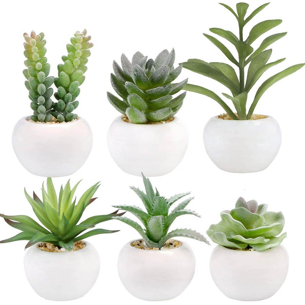 GREENTIME 6 2.5 inches (D) x (W) x 4.5 (H), Green-white Pot