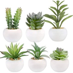 GREENTIME 6 2.5 inches (D) x (W) x 4.5 (H), Green-white Pot
