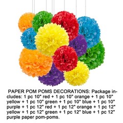 12pcs Rainbow Hanging Pom Poms, Tissue Paper Flower Decorations for Party