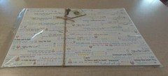 Outside the Box 8 Paper Placemats *Wedding/Tying the Knot/Mr. & Mrs. 11 x 17