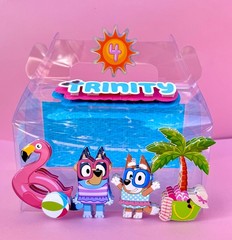 Bluey Pool Party Goodie Boxes/ Favor Boxes/ Bingo Summer Birthday/ Swimming