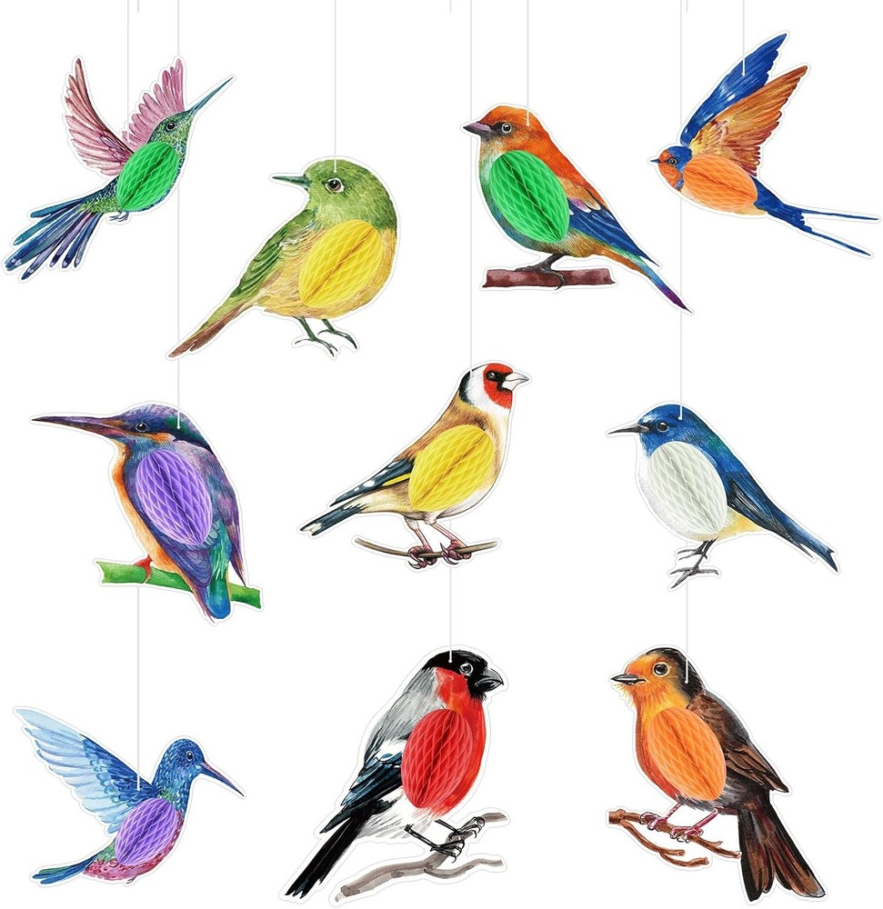 10 Pcs Bird Party Decorations Tropical Bird Honeycomb Paper Cutouts Jungle Rainf