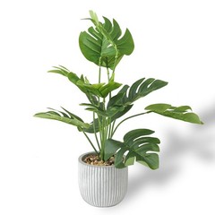 Leixi Artificial Plants in Pots, Fake Tropical Palm Tree with one size, Green