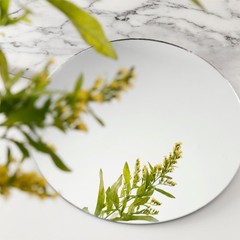 10 PCS Acrylic Round Mirrors Trays Plates Table Centerpieces 10 Inch 25 cm