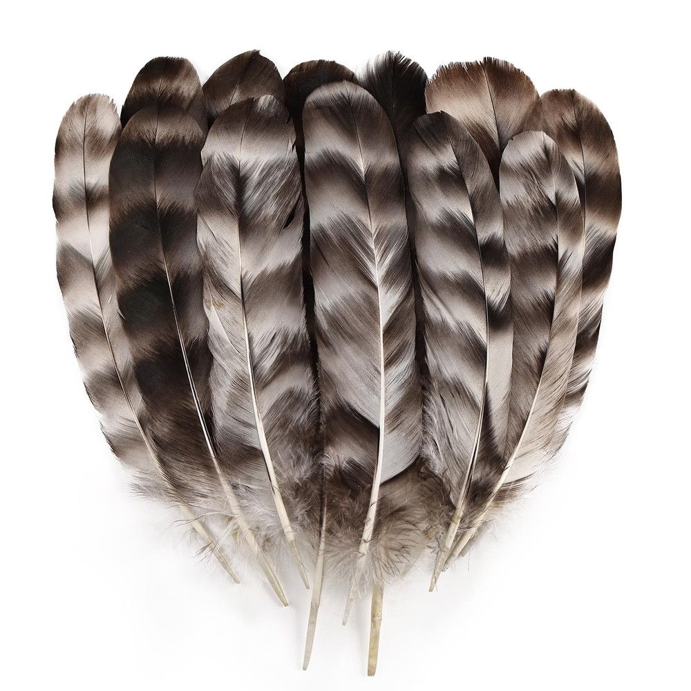 Daieeparty 12pcs Natural Grey Reed Chicken Feathers Bulk 6-8 inch Chinchilla …