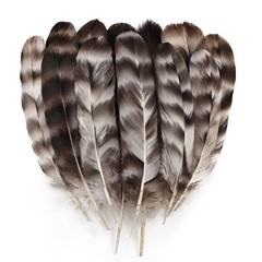 Daieeparty 12pcs Natural Grey Reed Chicken Feathers Bulk 6-8 inch Chinchilla …