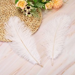 100 Pcs Natural Black / White Ostrich Feathers for Wedding White