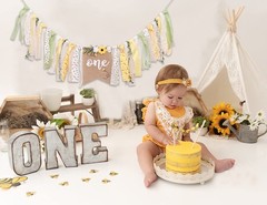 Bee Theme 1st Birthday High Chair Banner Multicolor Bee and Flower Pattern, …