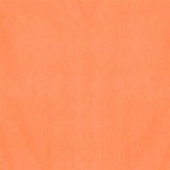 Tissue Orange 8 Count
