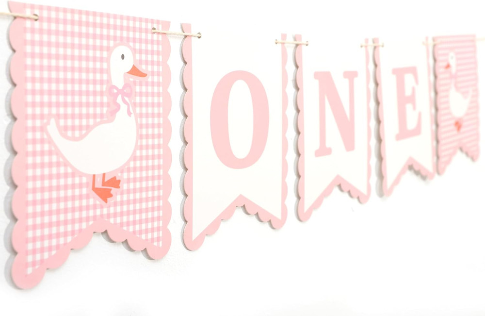One Silly Goose First High Chair Banner – Pink Gingham One Silly Goose 1St Birth