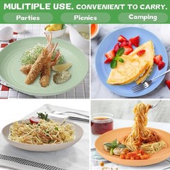 9 Inch Unbreakable Wheat Straw Plates – Reusable Plate Set – Plate-9in, Pink