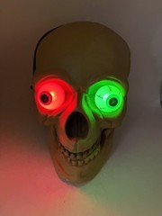 Halloween Plastic Blow Mold Skull Light-Up Color Change Eyes Skeleton Head