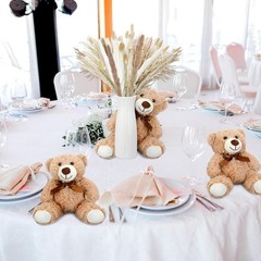 Relaxgiant 6 Sets 123 Pcs Bear Baby Shower Table Centerpieces Dried Pampas