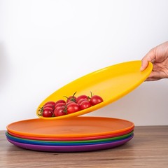 ZAINCA 10.5 inch Wheat Straw Dinner Plates Plastic inch, Multicolor