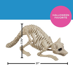 7 3/4″ Raccoon Skeleton Plastic Outdoor Halloween Decoration – Seasons