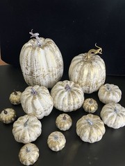 14 Pcs Assorted Fall Artificial Pumpkins – Gold & White Gold Brush White NEW!!