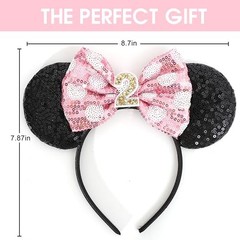 Mouse Ears Birthday Headband – 2nd Birthday Party Pink Headband