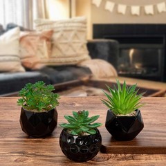 Briful 4.3 inches (D) x (W) x 5.5 (H), Black# 3pcs