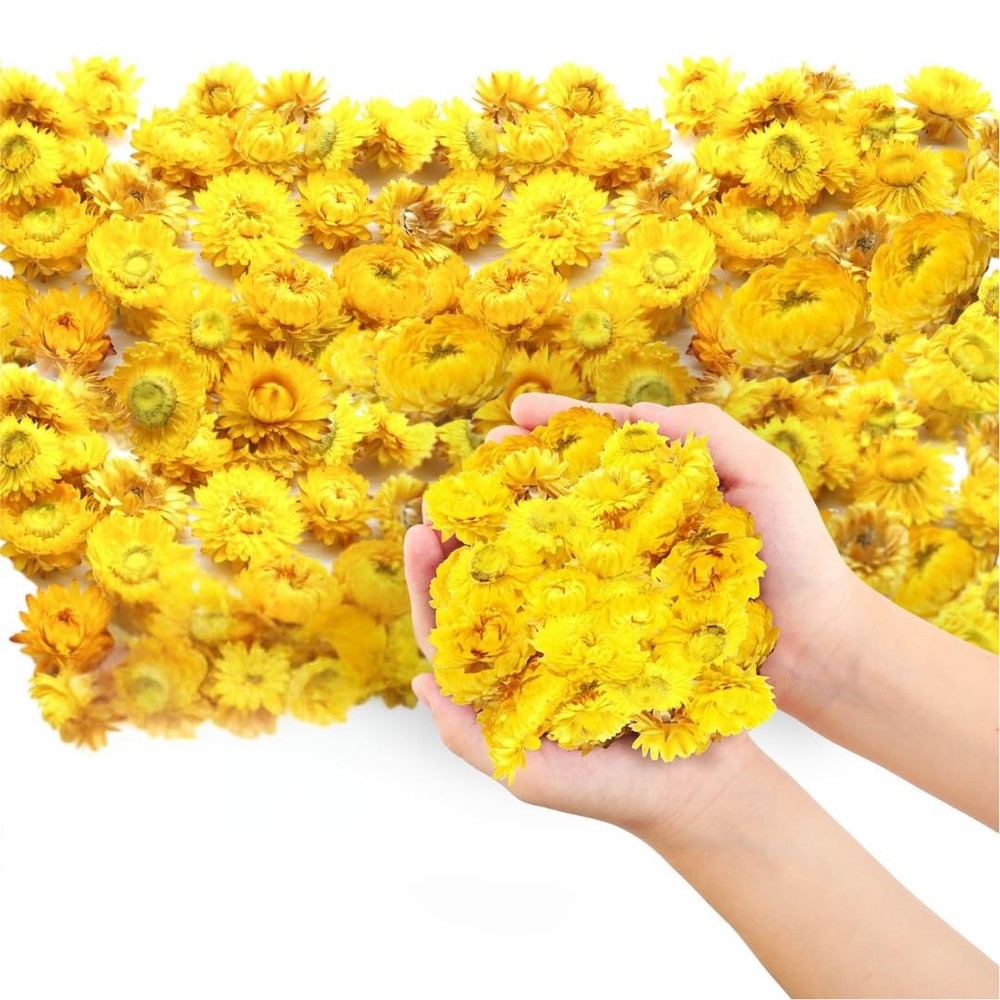 Dried Flower Petals Colorful Biodegradable Confetti Wedding Party Table