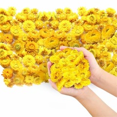 Dried Flower Petals Colorful Biodegradable Confetti Wedding Party Table