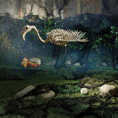 Flamingo Skeleton 27 In – Seasons