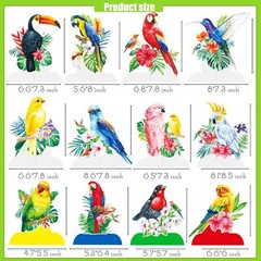 Tropical Bird Honeycomb Centerpieces Tropical Bird Party Decorations 12Pcs Ha…