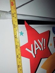 Happy Birthday Milestone Scroll Sign Any Age / 19″in X 24″in