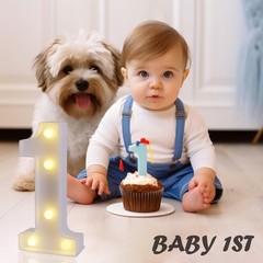 Lighted Marquee Numbers, Party Birthday Decor, Small LED Letters
