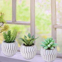 Winlyn Set of 3 Artificial Succulents Plants in Mini Gray and White Pots