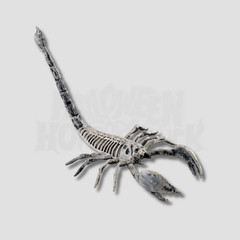 20cm Skeleton Scorpion – Indoor & Outdoor Halloween Decor