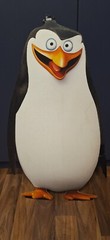 Madagascar Penguins Cardboard Cutout / Standup / Standee