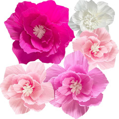 Party Tissue Pom Poms