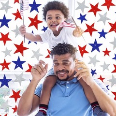 6 Sheets Glitter Stars Window Clings Patriotic Glitter Blue Red White Stars