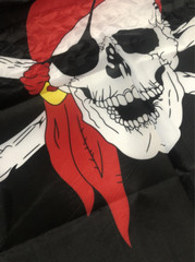 Pirate Bandana Skull Crossbone Jolly Roger Banner Halloween Party Decor Flag