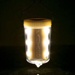 12-LED Remote Control Omni Lantern Light, Portable, Warm White (Battery)