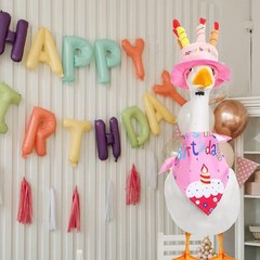 Cheerful Goose for costume Set for Outdoor Birthday Parties with Fun Accessories