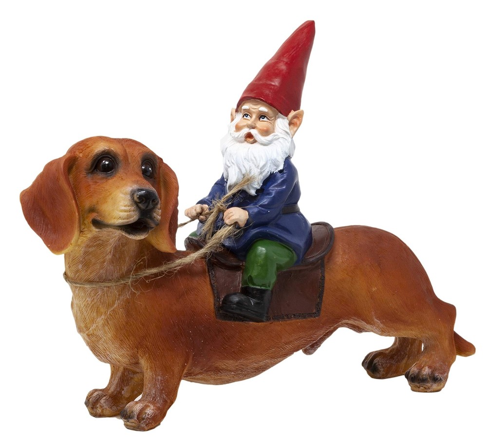 Funny Guy Mugs Gnome and a Dachshund Garden Statue- Indoor/Outdoor Garden Dog…