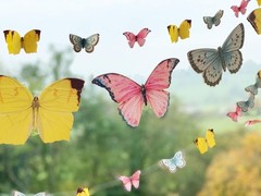 16ft 3D Butterfly Garland Bunting for Afternoon Tea, Weddings, Kids Birthdays,