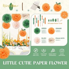 Little Cutie Baby Shower Decorations 12 PCS Light Orange Green Pom Poms