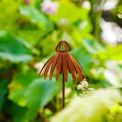Bronze Rusted Echinacea Garden Stake Metal Art for Lawn and Flower Beds
