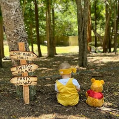 Winnie The Pooh Party Signs, 20Pcs Directional Arrows, Shower, Brown