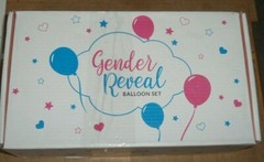110 piece set WILLA FLARE GENDER REVEAL PARTY BALLOON DECORATIONS sealed nib