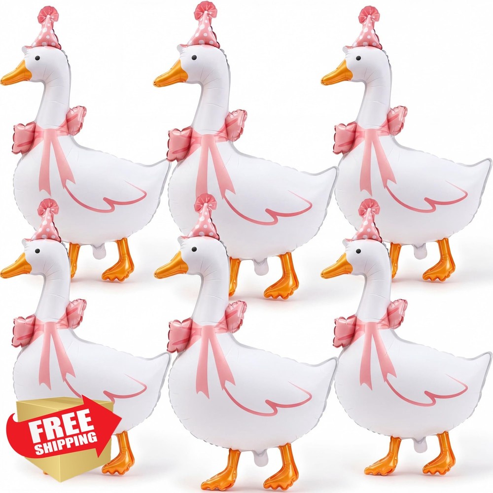 Soulchen 6 Pink Silly Goose Balloons